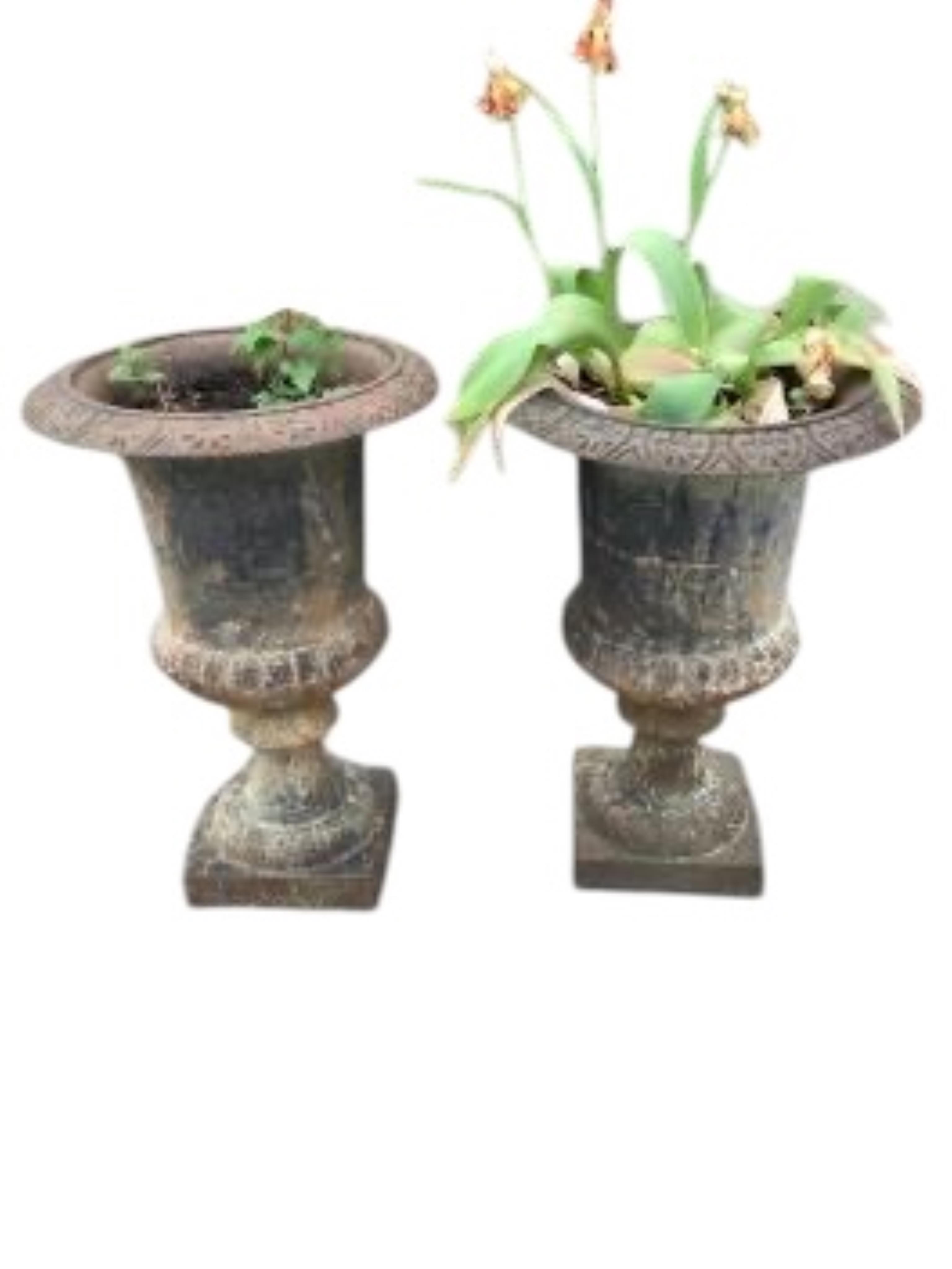 A pair of Victorian style cast iron campana garden urns, diameter 48cm, height 70cm